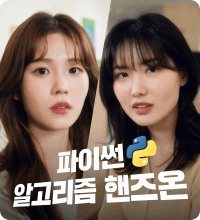 파이썬 알고리즘 핸즈온